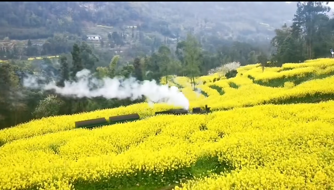 00000000qDzxVBmftIkFHpNe