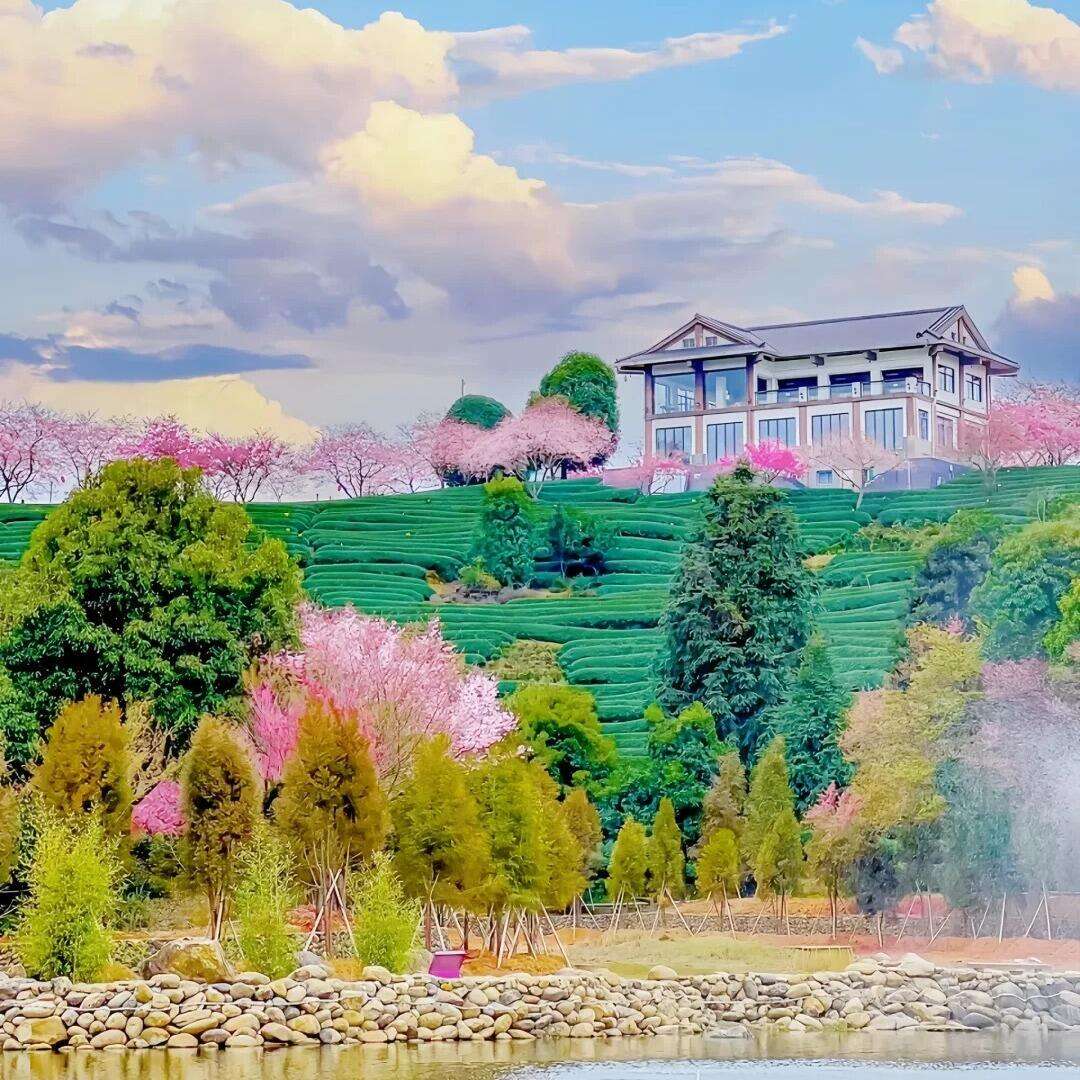 00000000qQvjSdGvoWlWSKMX