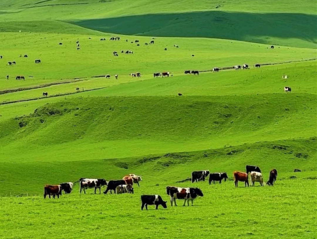 00000000rGzDqfXnhPBmqHXF