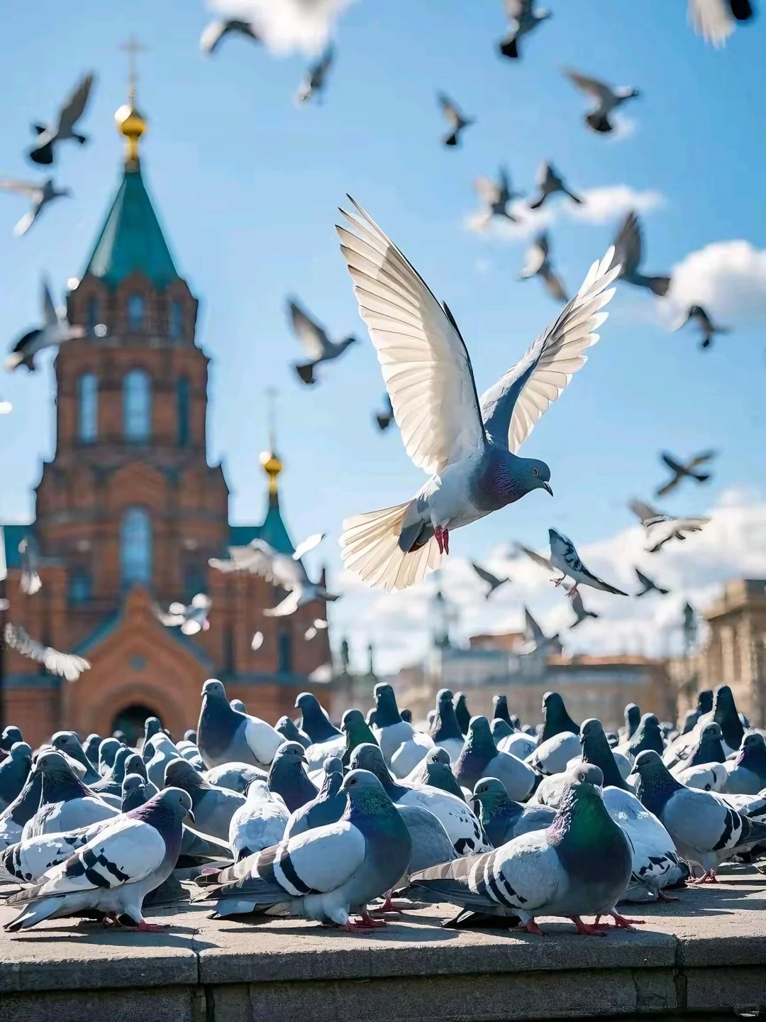 00000000rghJXChYQRdIJmUN