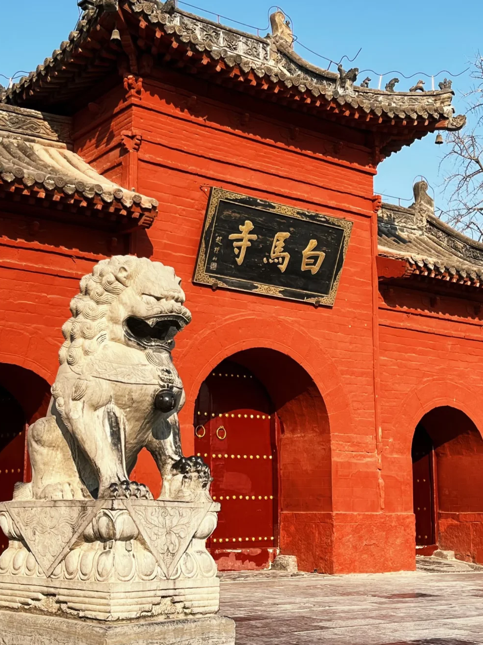 00000000riFeNEvqoYmdwYZa