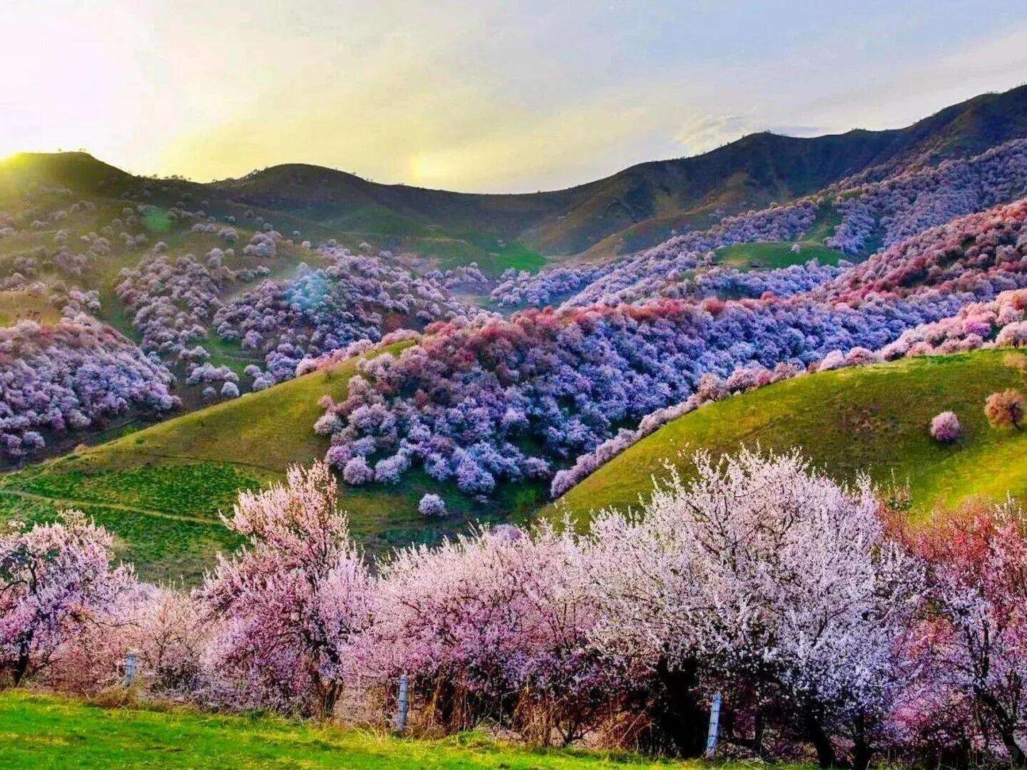 00000000rjBFxTZvWArspOjz 00000000rjBFxTZvWArspOjz