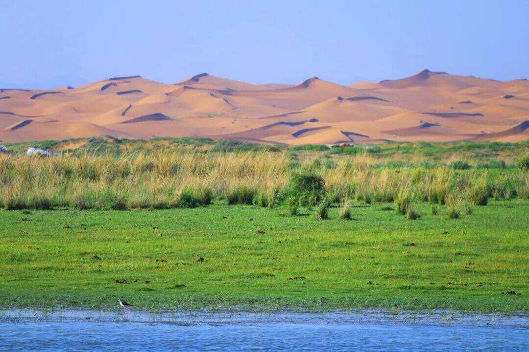 00000000rtBJKOAJvGlwjUbl