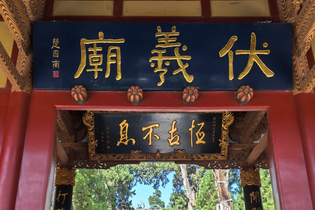 00000000rvXLosyyxGlxYQTT