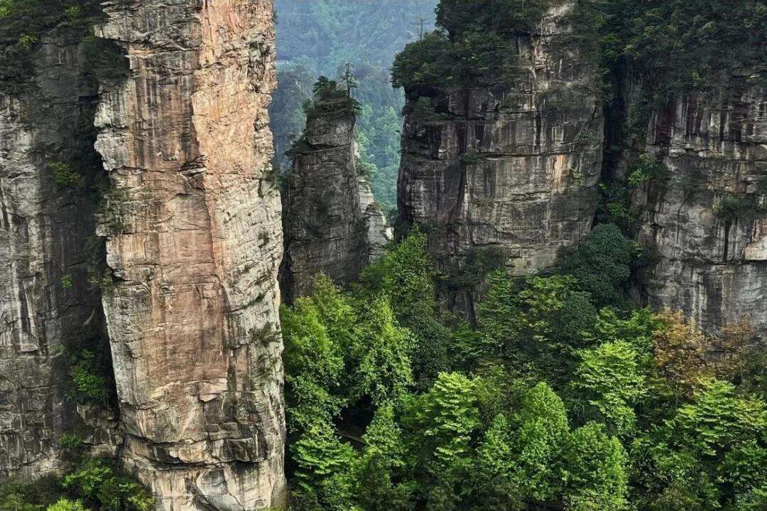 00000000rzpvjECSwAYISqEo