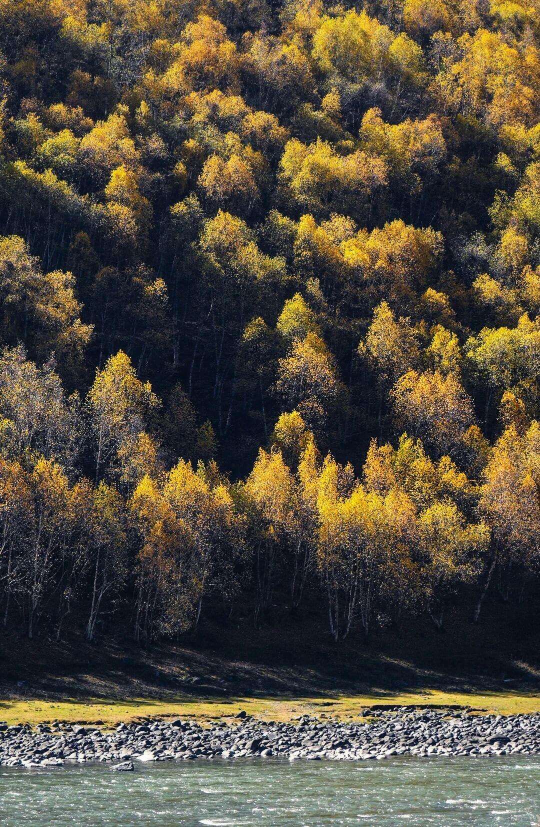 00000000sKXOufdmpGEdTPIM