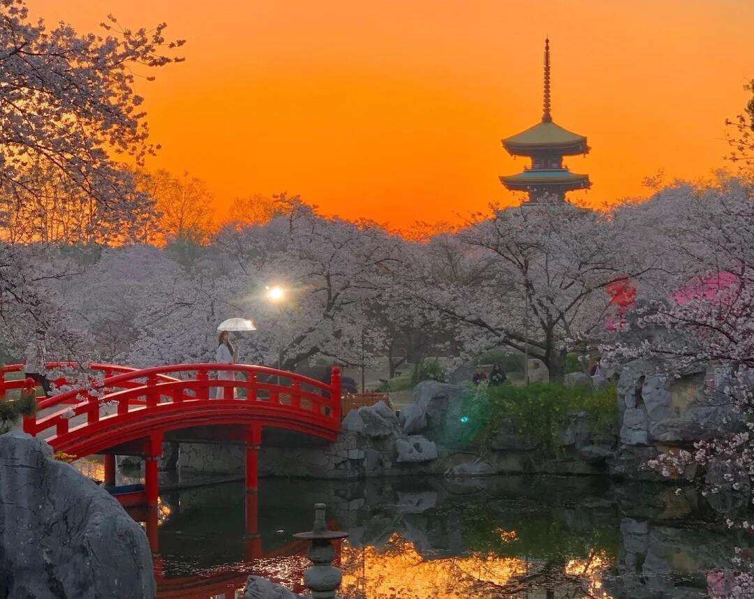 00000000sRUNDumAYDhxrLuc