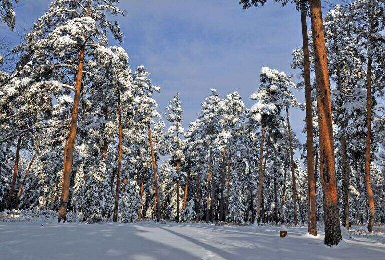 00000000sdmuFtpWufSAWzVX