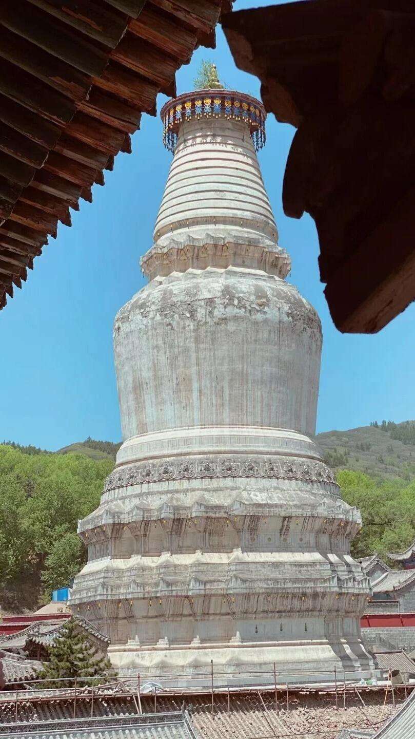 00000000svGGJYxyuznQGXHE 00000000svGGJYxyuznQGXHE