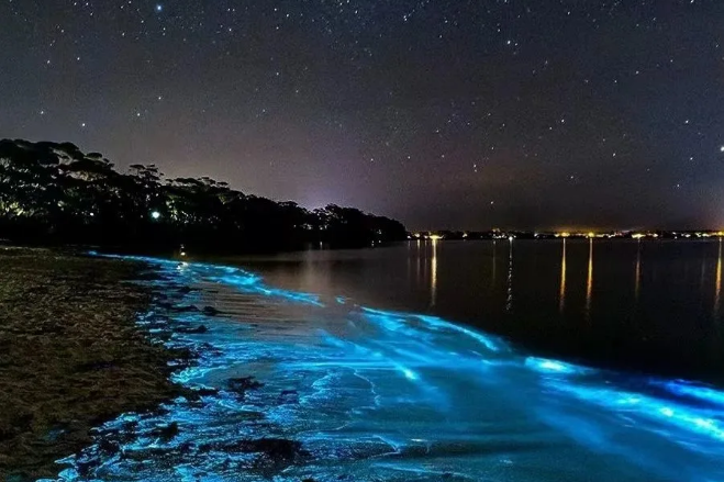 00000000szJjfmRPPOgRGiYi-1