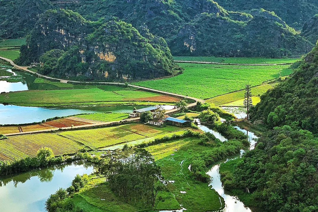 00000000tARgAjfdrvidOIEL