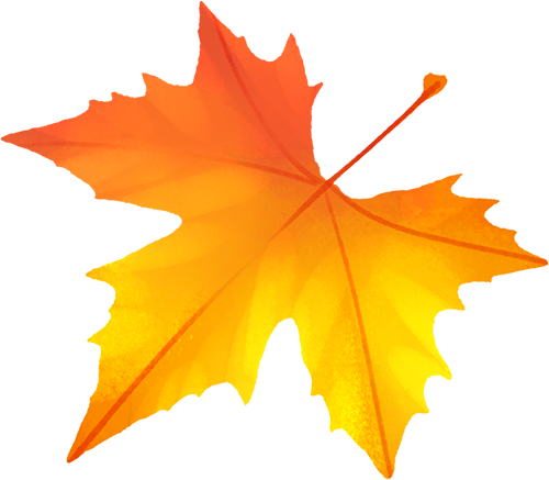 00000000tOtifaMixAuyvhSl