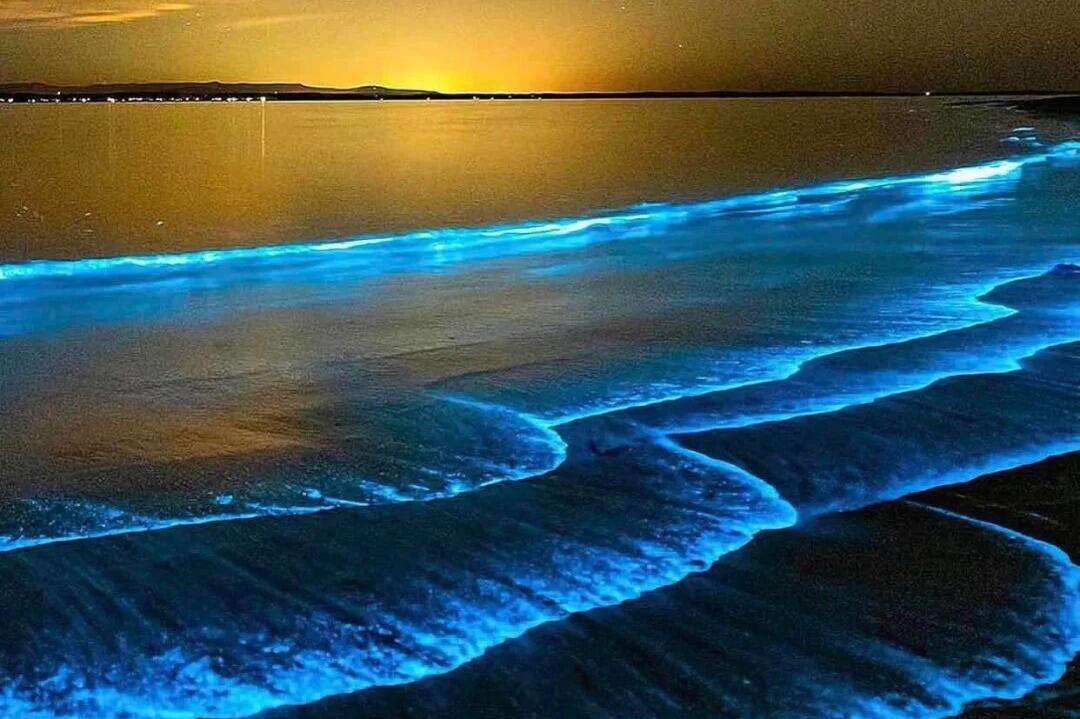 00000000tkEuDoyamBaVKxTc-1