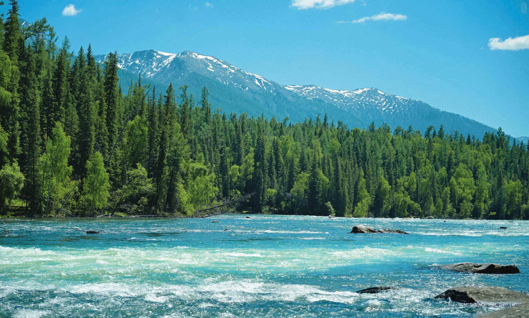 00000000ttVOwLuuDFwelWwu