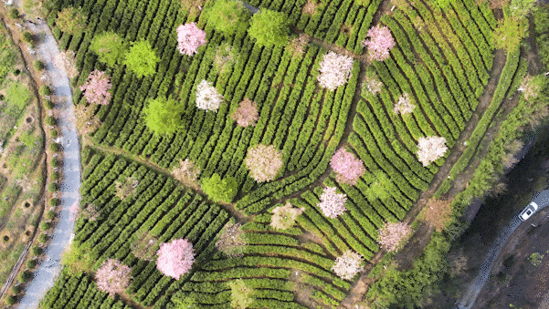 00000000uBfozsYhRKPxhxot-1