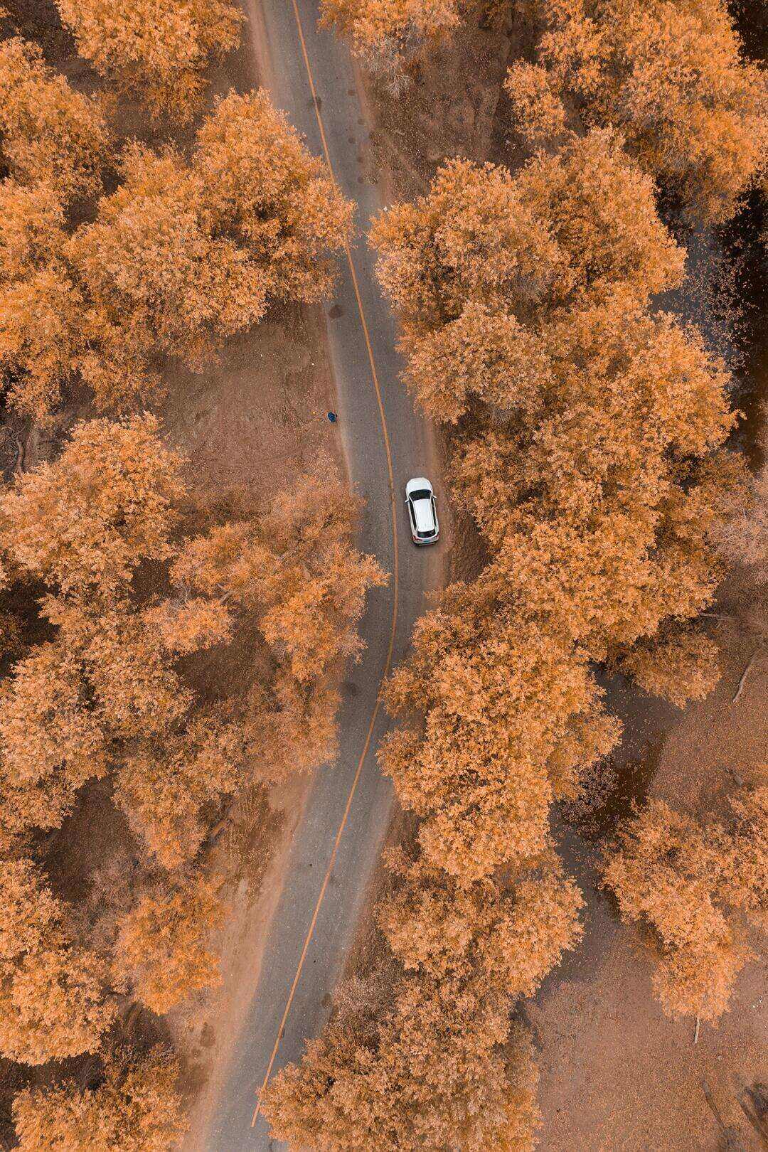 00000000uWOfzpmCLqDTMSIZ 00000000uWOfzpmCLqDTMSIZ