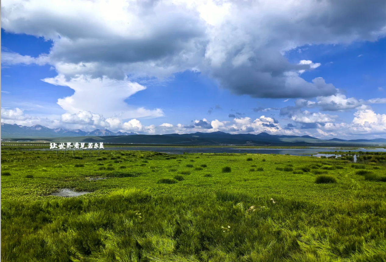 00000000ufdcpVdKdvCTrtMi-1