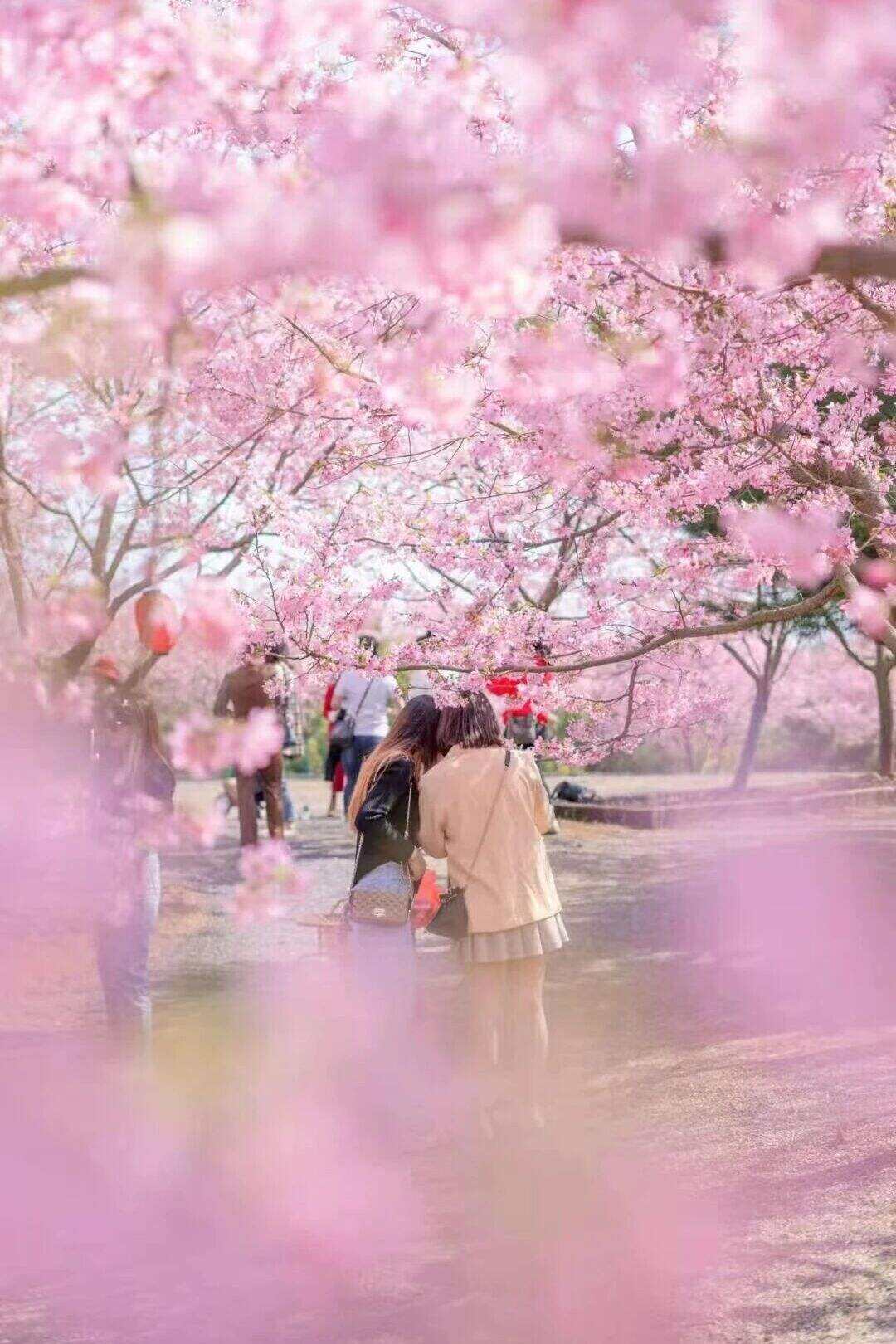 00000000umyVqoboZkOcXxyp 00000000umyVqoboZkOcXxyp