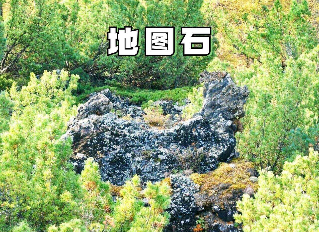 00000000vIJGfVbbXmpudlmr 00000000vIJGfVbbXmpudlmr