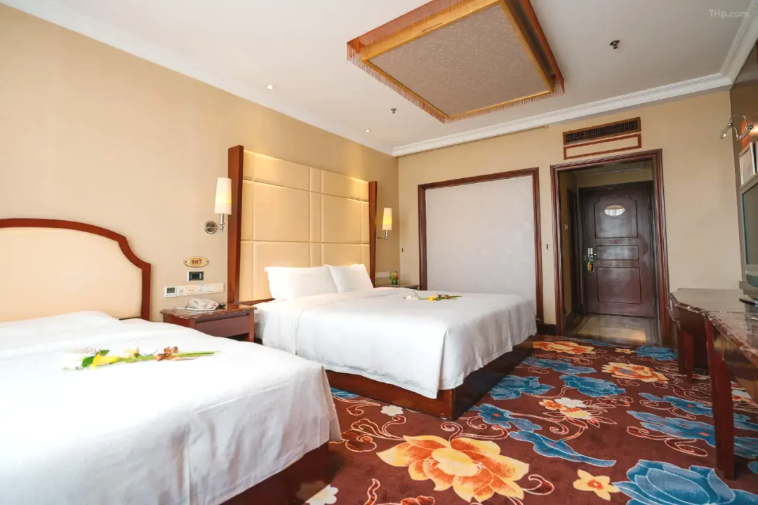 00000000vQIurxcVXMGVCrQP