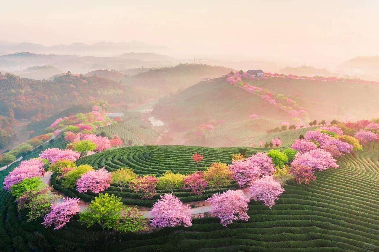 00000000vXsZUJPYFDbwTqcu