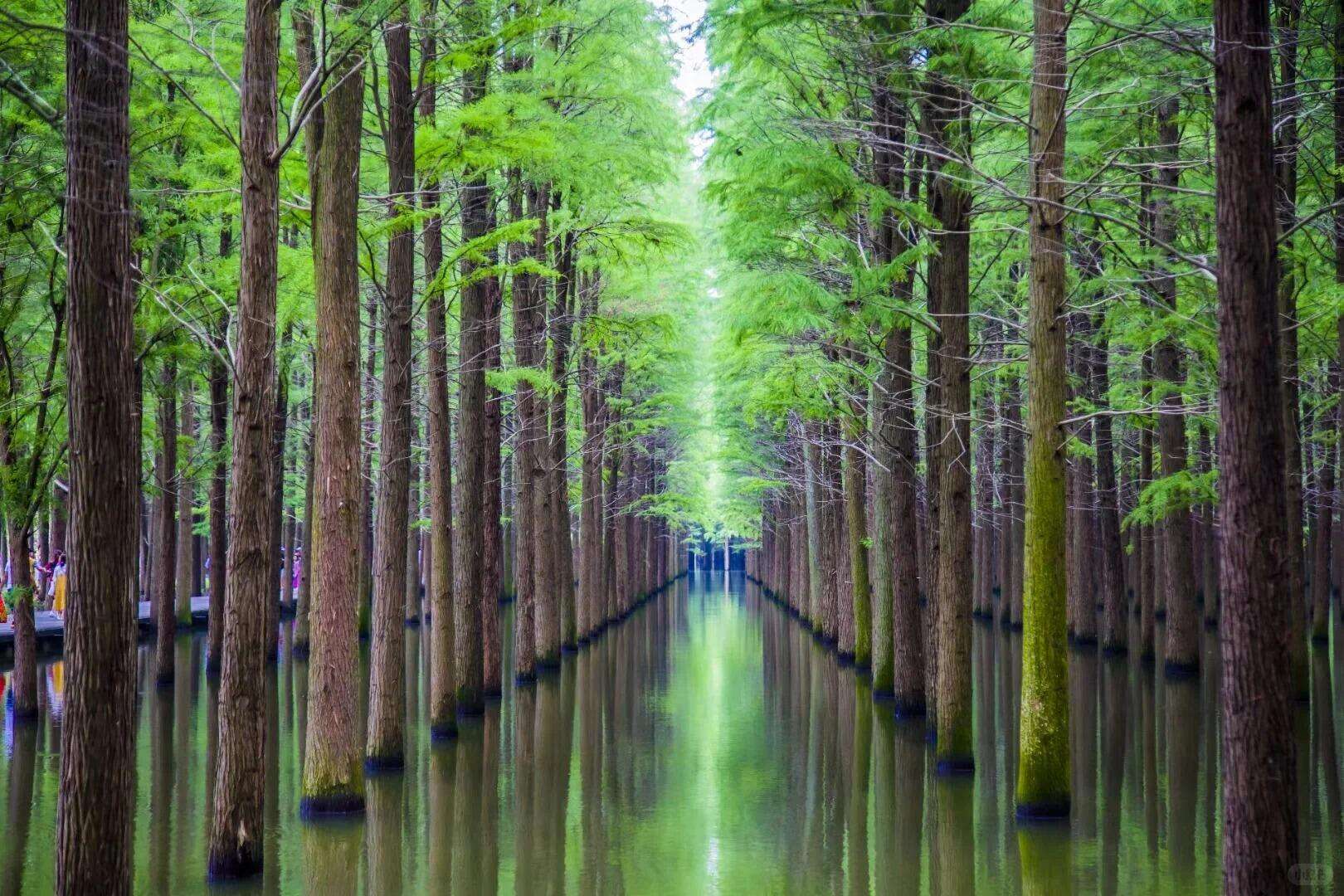 00000000vcGyPxjsVWQsOLws 00000000vcGyPxjsVWQsOLws