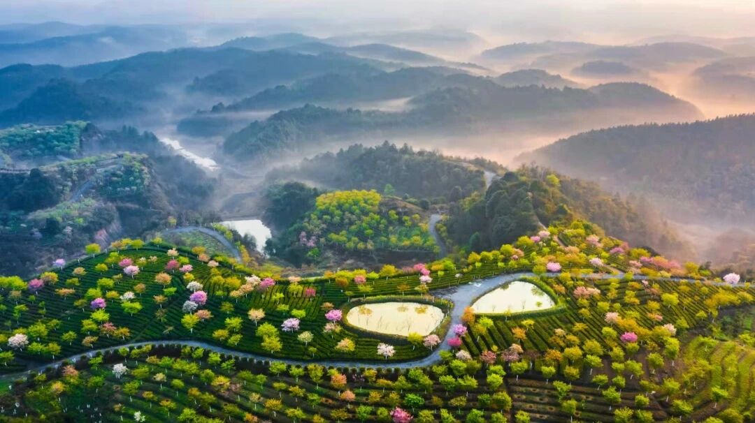 00000000vfDhLzAVKHoYYcDx-1