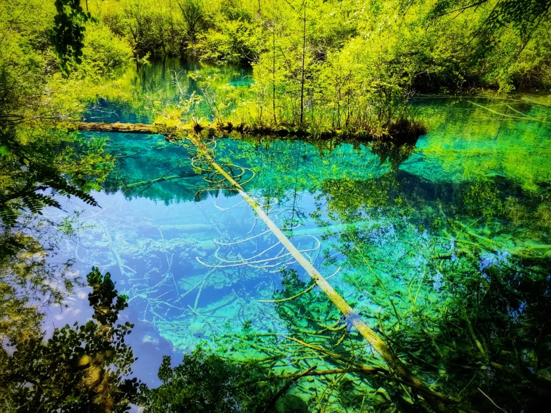 00000000vmRqNyxpilXevaHK