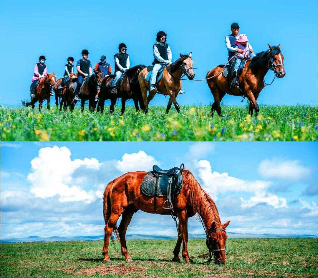 00000000wPjWfySQqcggaiKg 00000000wPjWfySQqcggaiKg