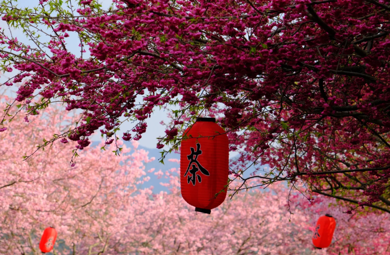 00000000wROttMQzihPYOUhG-1