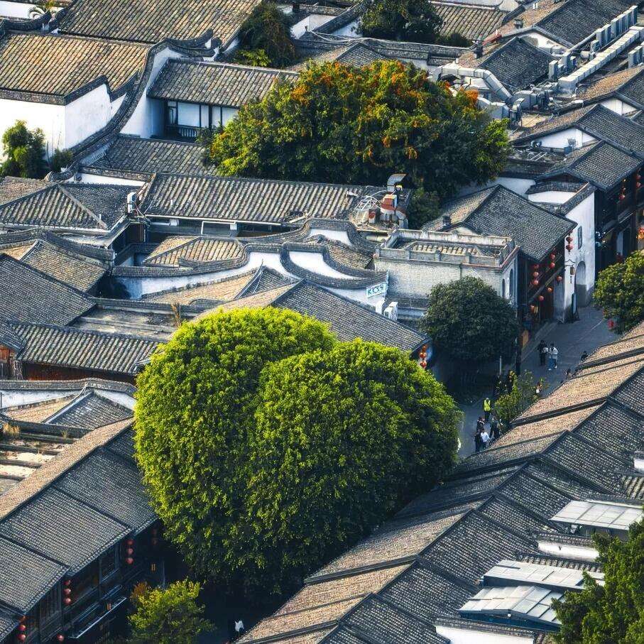 00000000wYEmqZkOYqtOvUGX-1