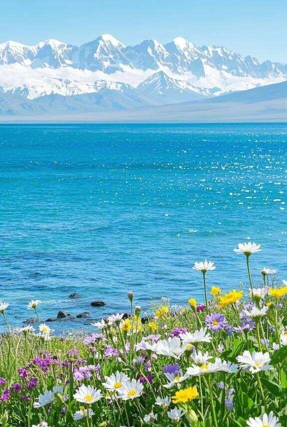 00000000wYGnuKiaiBtYUEHL