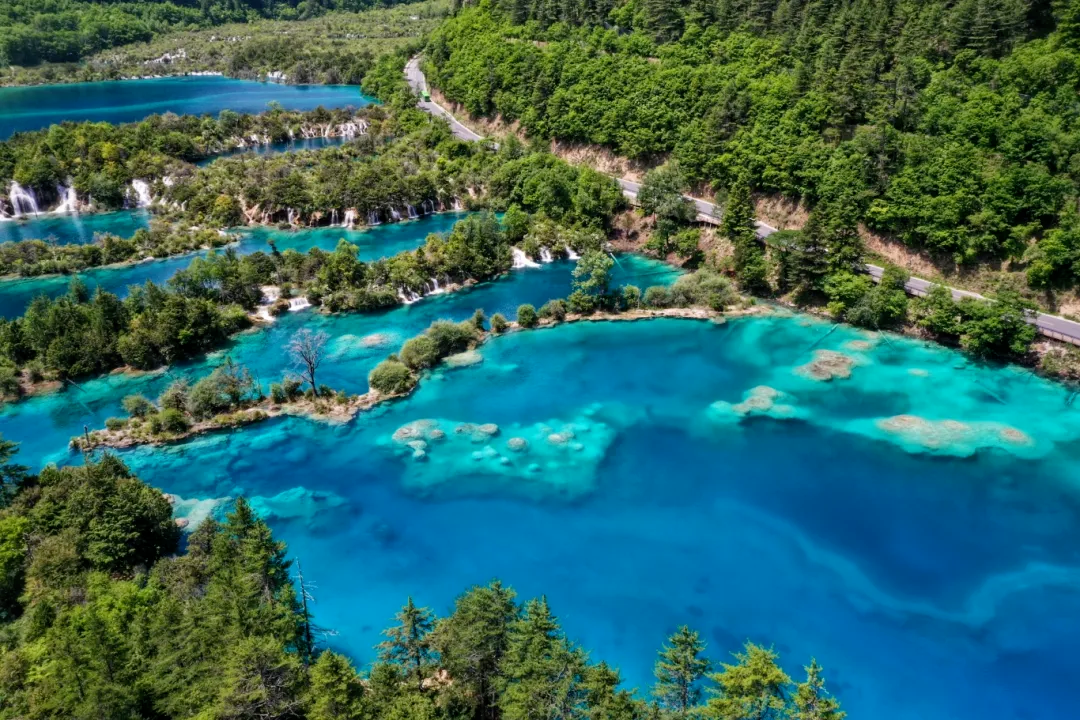 00000000xEZijRvDmWjWINtG