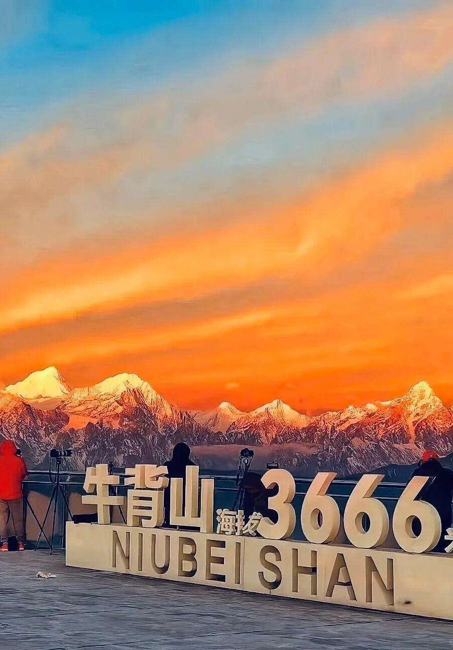 00000000xLAYvWoFZdOnyOVZ