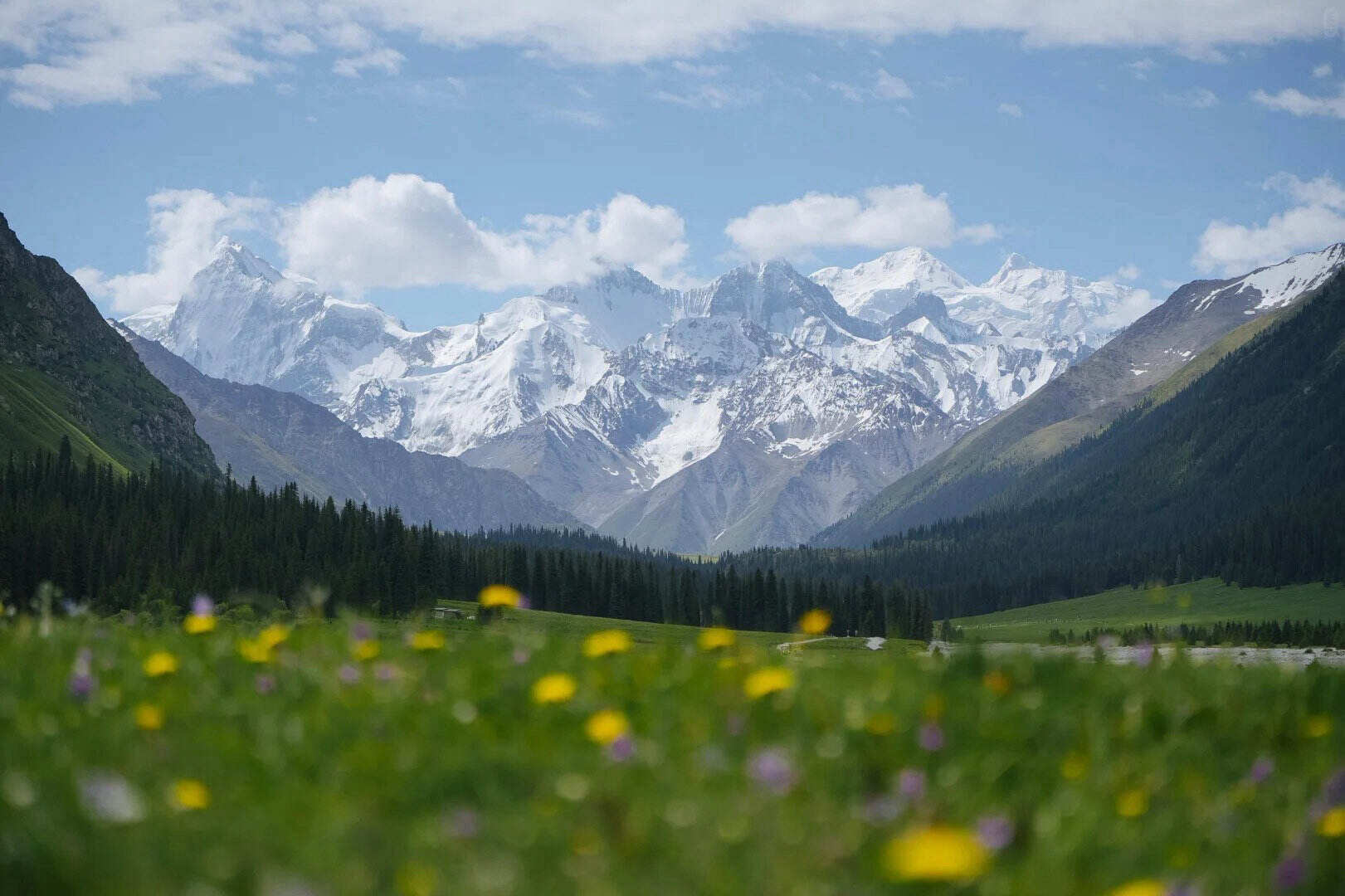 00000000xPhhAwZPxgNnPWAD