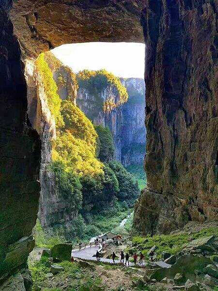 00000000xQgfmTNhLIpRYSbh