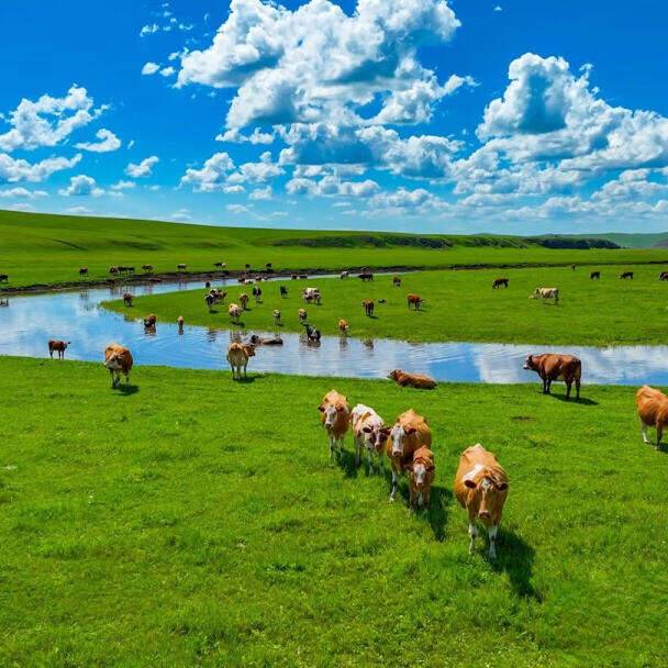 00000000xYBfcCTgcIJBUXDc 00000000xYBfcCTgcIJBUXDc