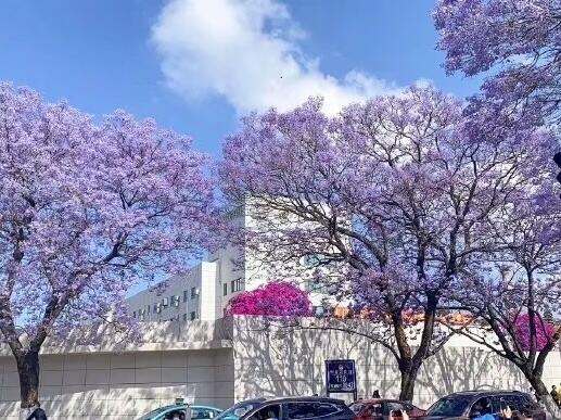 00000000xgIUbeMAGFogazOv