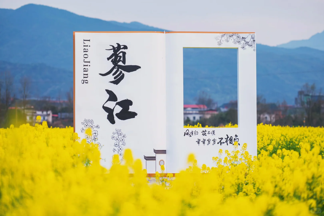 00000000xgZsriWJCPfZtKaV-1