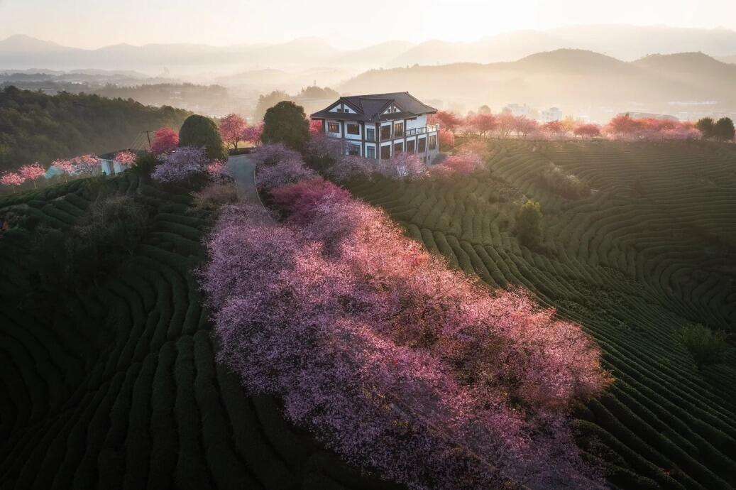 00000000xyHMfbgPIqjXuZkP-1