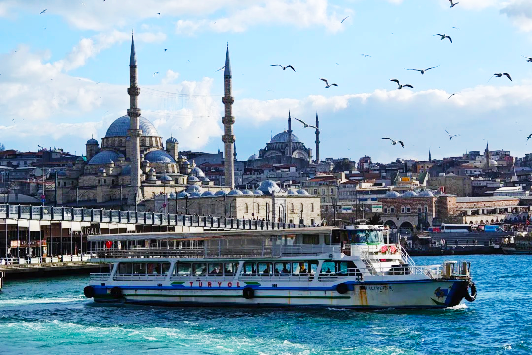 00000000xyvmBCqzvGWinRnv