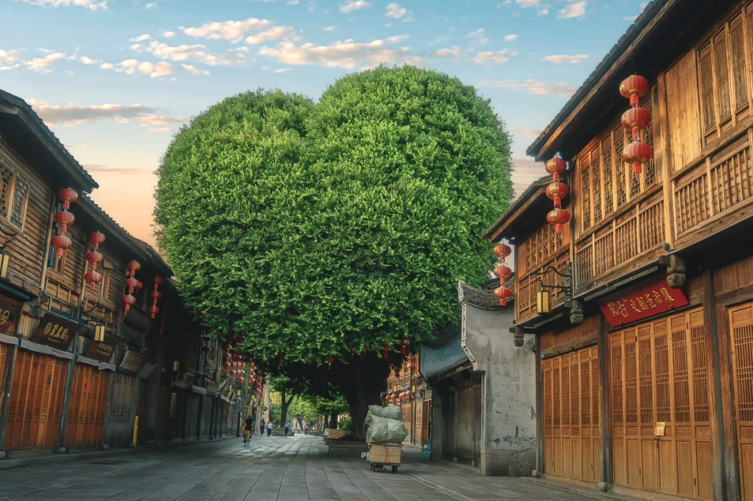 00000000ySJjNZQSKmguQFwj