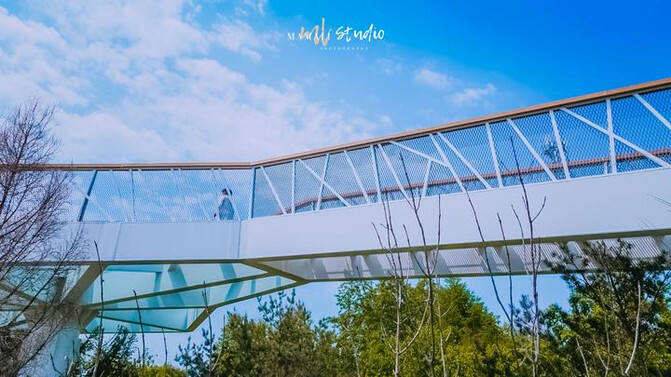 00000000yTNaEsgaocgPAbeW