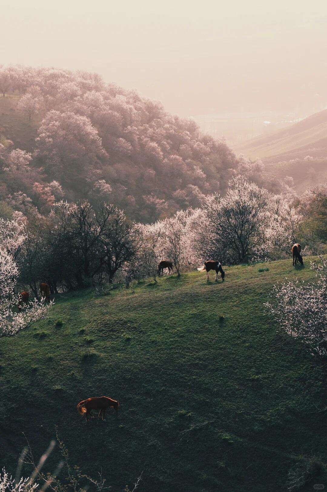 00000000yZDOGrQqHbAJMgND 00000000yZDOGrQqHbAJMgND