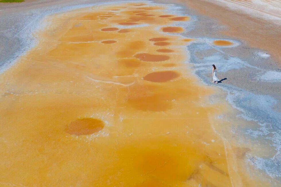 00000000yawOTphGtaWYEpeL