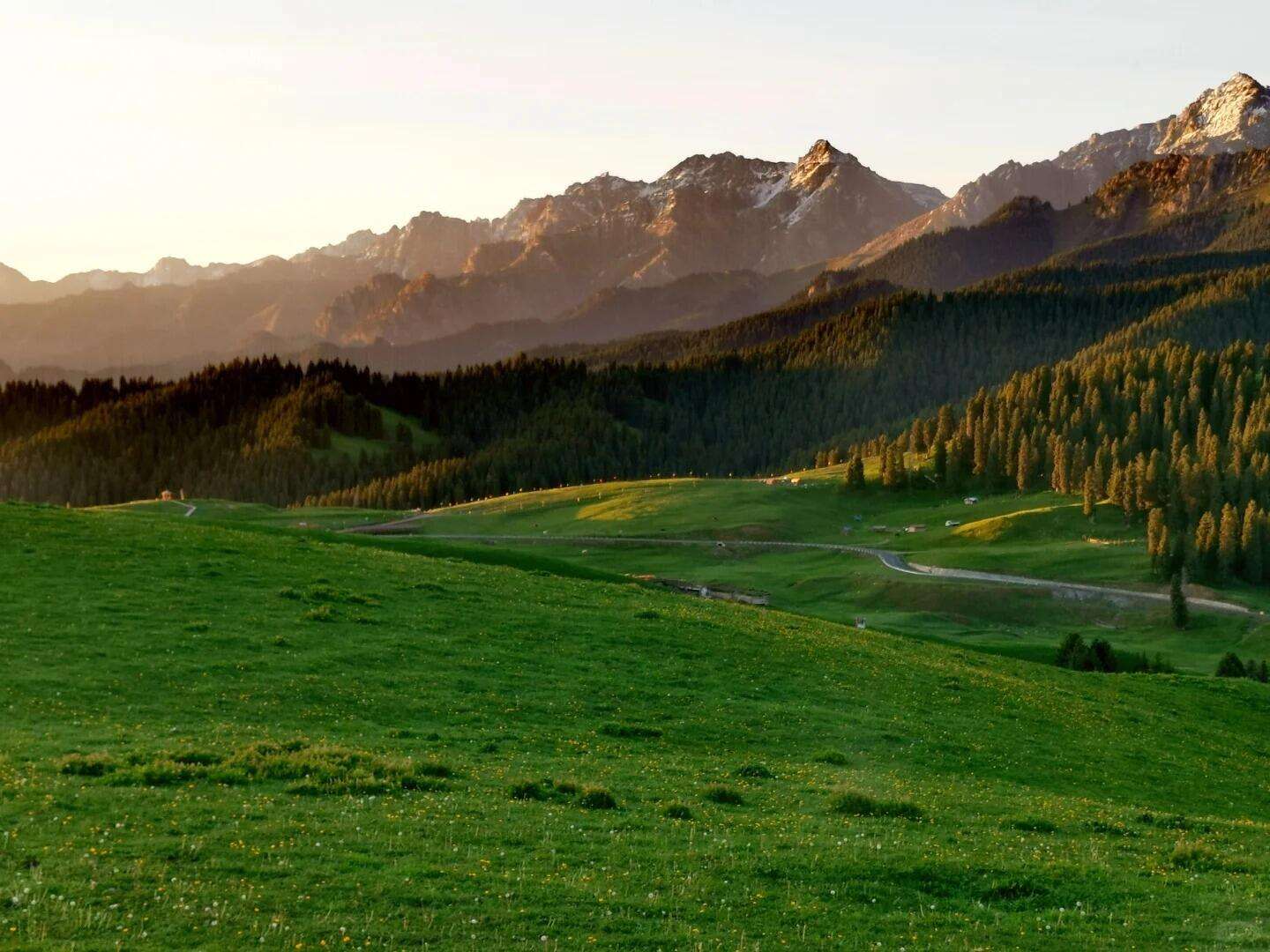 00000000ykVNrkOSBLiDflZM 00000000ykVNrkOSBLiDflZM