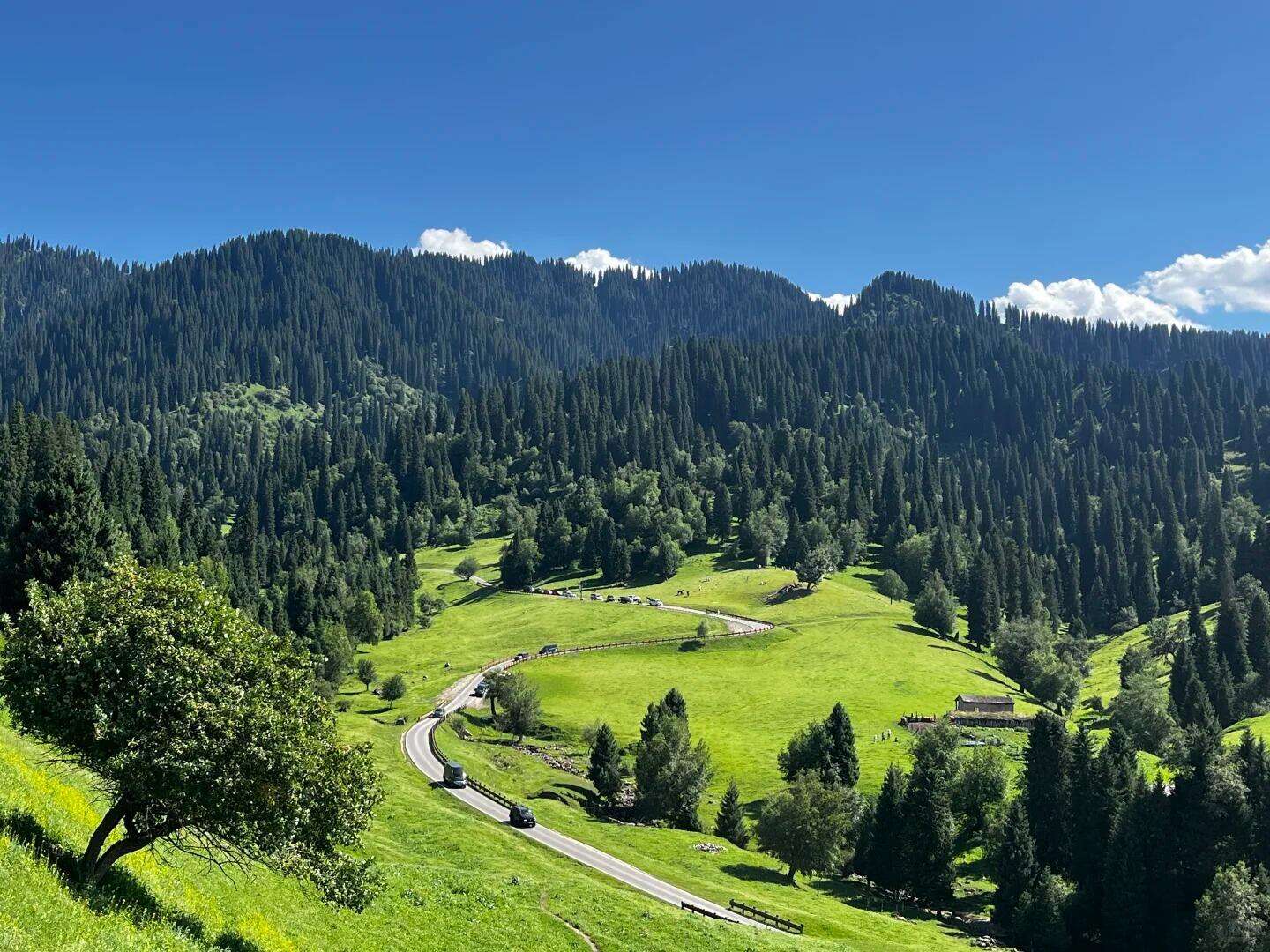 00000000zLbwWBReLWQfoIhN 00000000zLbwWBReLWQfoIhN