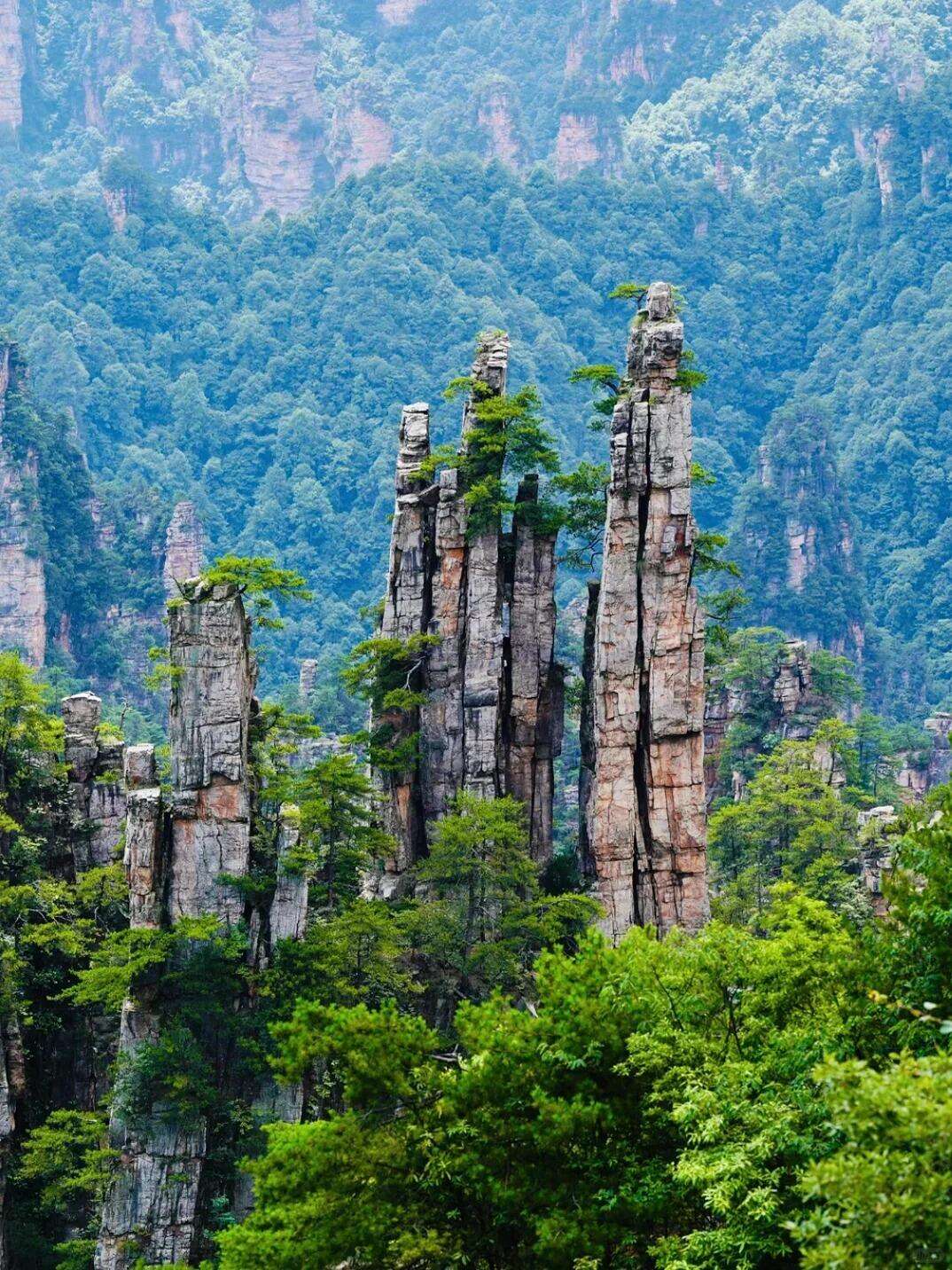 00000000zhOVhUCICZFrOQxU