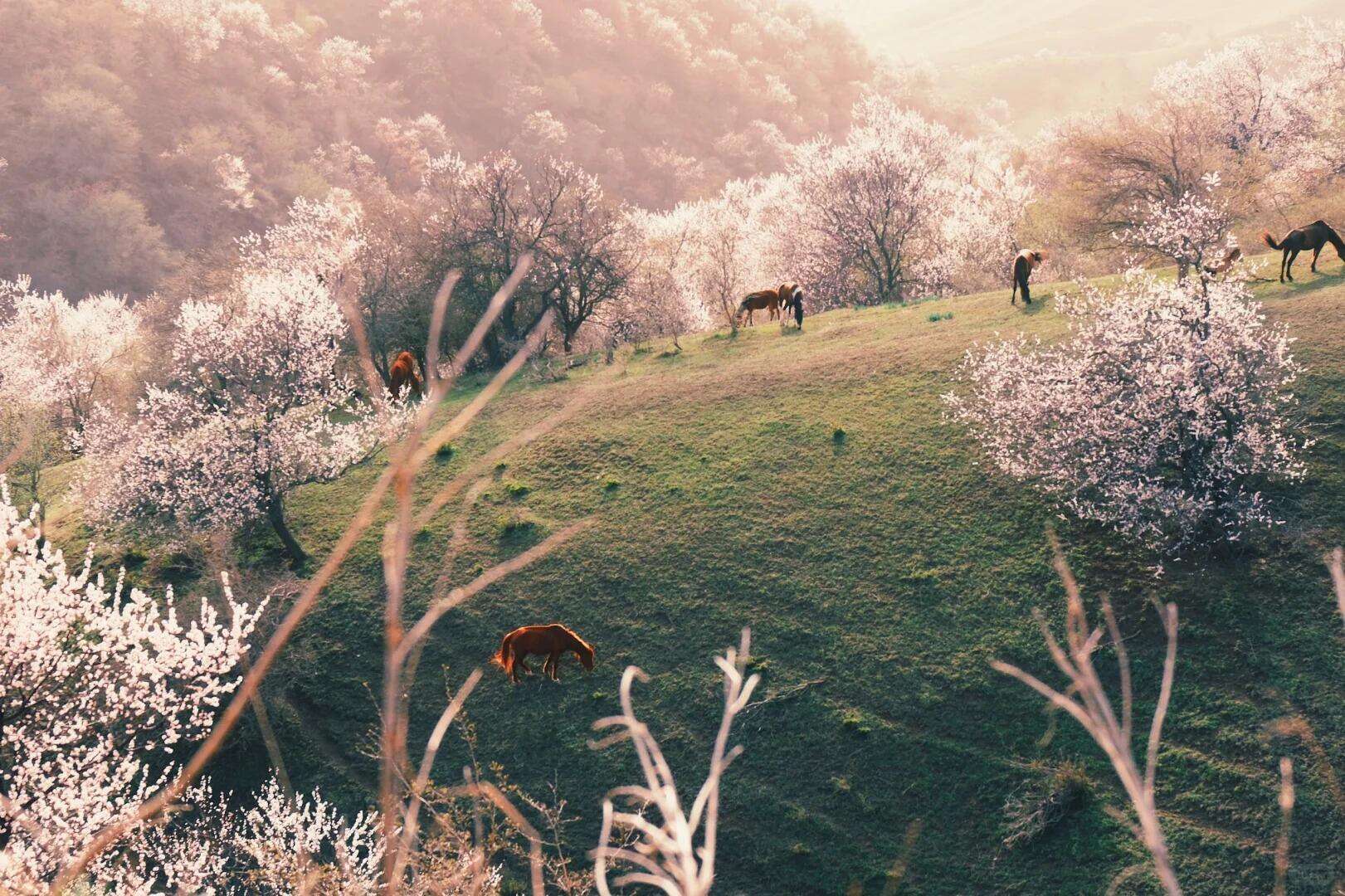 00000000zneHbLdRRtfCATjK 00000000zneHbLdRRtfCATjK