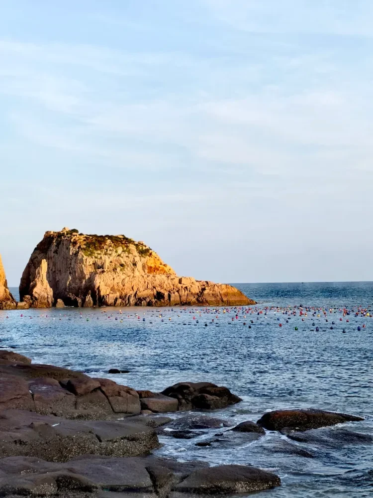 004f96e5ff2bda04d60c13987ec18335-sz_2025513